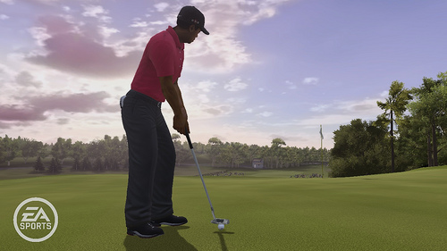 Tiger Woods PGA Tour 10 review pics