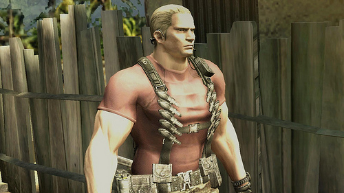 Resident Evil The Darkside Chronicles review pics