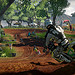 MX vs ATV Alive