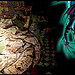 Ninja Gaiden DS