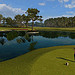 Tiger Woods PGA Tour 09