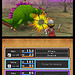 Dragon Quest IX Sentinels of the Starry Skies