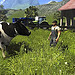 Farming Simulator 2013