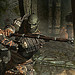 Skyrim