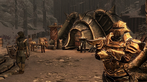 Skyrim pics